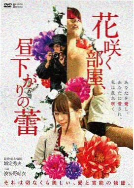 电影类内容分类